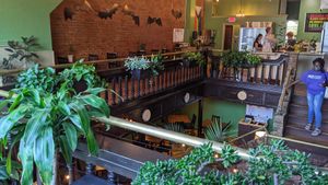 Interior at Under the Ground Blono in Downs