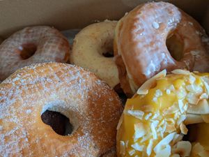 Vegan donuts! at SuzyQ Doughnuts - Bells Corners in Nepean