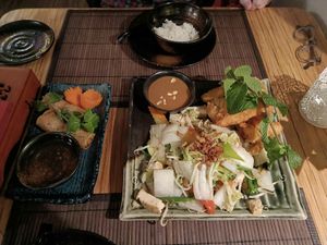 Spring rolls, veg, tofu & tempura veg with rice. at Quan Tre in Wiesbaden