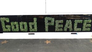 Check us out @ Night Quarter. at Good Peace in Birtinya