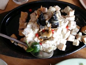 Tofu sisig - yum!  at Pipino in Quezon City