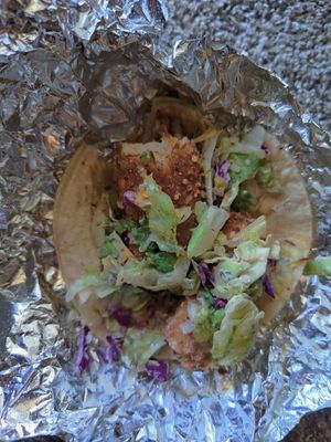 Crispy Coconut Tofu Taco - Yum! 🤤 at Buenos Grill in Reno