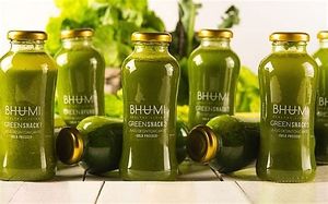 Logo at Bhumi in Quito