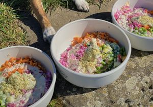 Bowl of the day in reusable bowl  at Resi Lecker in Dusseldorf