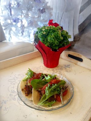 Vegan Kebab tacos at Opera Café & Coffeehouse in Austin
