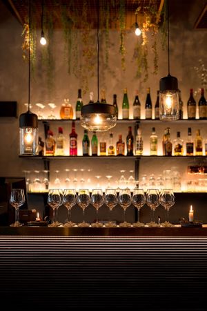 The bar at Nabo in Rovaniemi