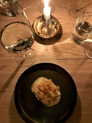 Starter at Nabo in Rovaniemi