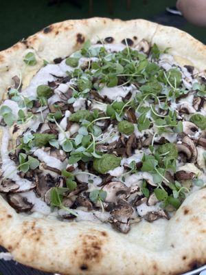 Black Magic Truffle Pizza   at Pura Vita in Redondo Beach