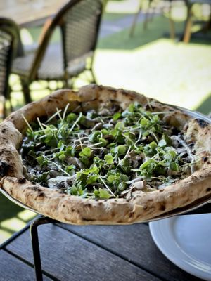 Black Magic Pizza   at Pura Vita in Redondo Beach