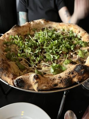Black Magic pizza    at Pura Vita in Redondo Beach