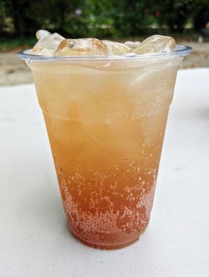 Natural Soda at Algorithm Food Truck in Philadelphia