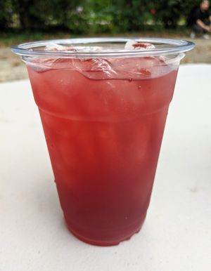 Kombucha at Algorithm Food Truck in Philadelphia