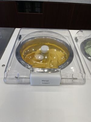 vegan labeled !   at Hanna's Creamery & Cafe in San Diego