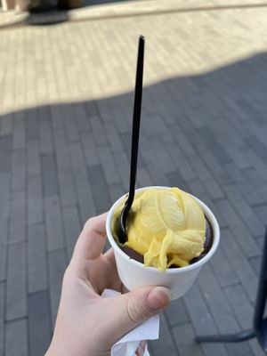 chocolate and mango   at Hanna's Creamery & Cafe in San Diego
