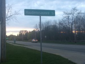 RAVS vegan meet-up on some Sundays  at The Rochester Area Vegan Society in Rochester