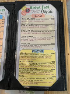   at Bohemia Cafe in Samara