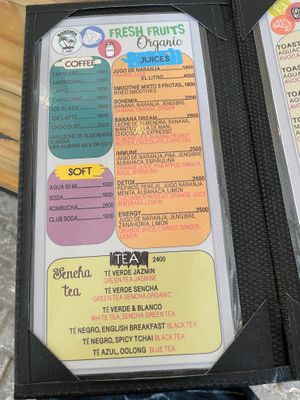  at Bohemia Cafe in Samara