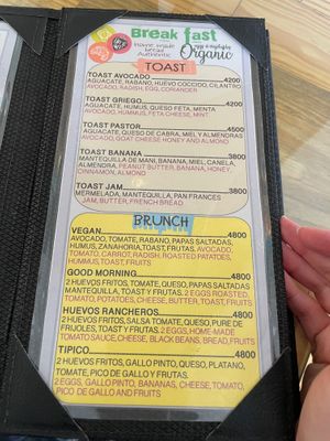  at Bohemia Cafe in Samara