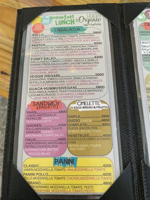  at Bohemia Cafe in Samara