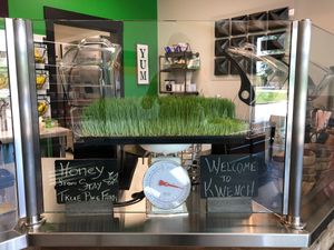 Wheatgrass or Lemon, Ginger Turmeric Shots... have an idea for a shot?  Let us know!  We might be able to do that for you! at Kwench Juice Cafe in Sedalia