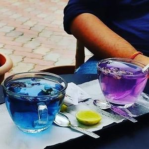 blue tea at Leaf4Life Superfoods in Mysore