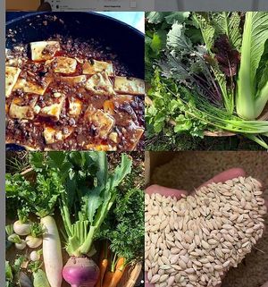 Natural and organic ingredients in all dishes. at Ejima - Falafel & Coffee Stand 江島食堂 in Tokyo