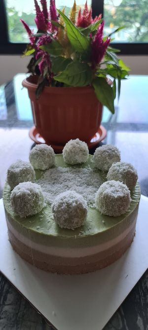Raw Pandan Coconut Gula Melaka Vegan Cake at Cake Botanica in Central Singapore