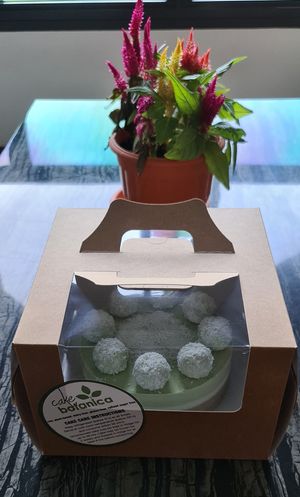 Raw Pandan Coconut Gula Melaka Vegan Cake at Cake Botanica in Central Singapore