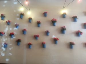 potted plants on wall at Sugar Taco in Sherman Oaks