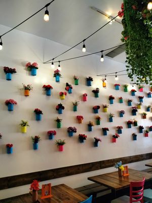 :) at Sugar Taco in Sherman Oaks