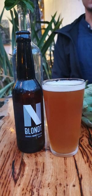 Beer from Rotterdam at Rainarai in Rotterdam