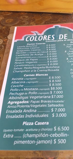 Menu at Colores de Pisco in Pisco Elqui
