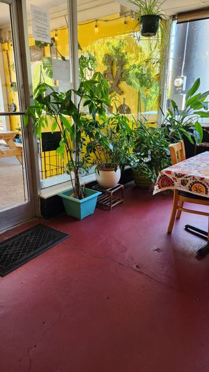  at Pure Soul in Durham