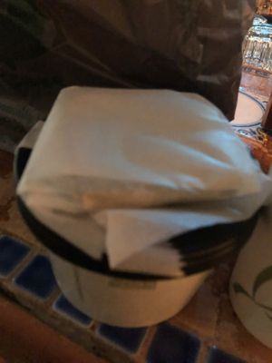 Raw avocado and Coconut soup - served with home made raw coconut bread   at Caravan of Dreams in New York City