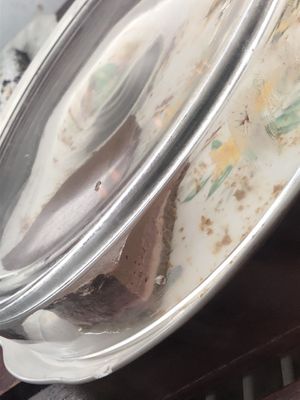 Raw cake: 
Chocolate, avocado, current, dates, cashew, Brazil nuts, coconut, monk fruit 

  at Caravan of Dreams in New York City