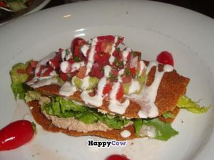 raw quesadilla at Caravan of Dreams in New York City