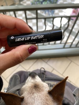 Vegan Lush Lip Butter - Super Smooth 😘💋 • Mall Rats  at LUSH in San Mateo