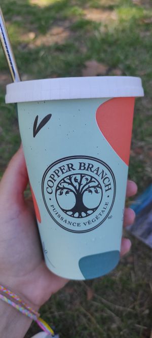 Tea at Copper Branch in Annecy