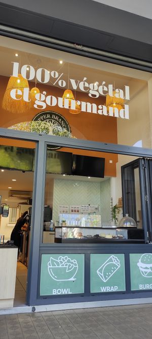 Spot at Copper Branch in Annecy