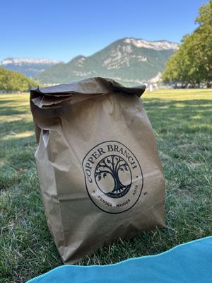 Centrally located, just opposite Le Paquier with amazing views  at Copper Branch in Annecy