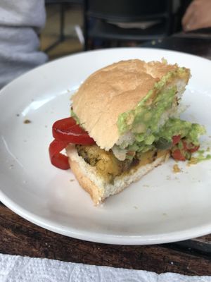   at Fuente Mestiza in Coquimbo