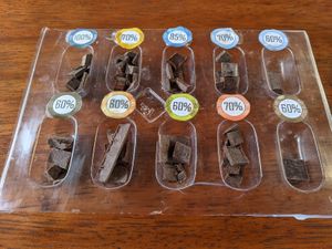 All-vegan samples. at Yumbos Chocolate in Mindo