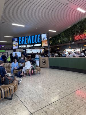 Spewdog   at EDI - BrewDog in Edinburgh