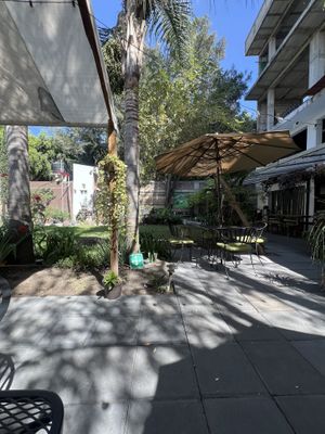 El patio  at Chocolatito Con Pan in Puebla
