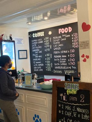 Menu at Adrianuzca's Cat Café in Punta Del Este