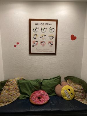 Inside the cafe  at Adrianuzca's Cat Café in Punta Del Este