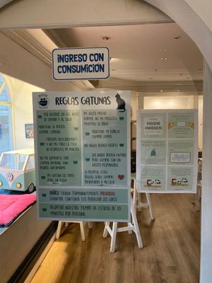 House rules  at Adrianuzca's Cat Café in Punta Del Este