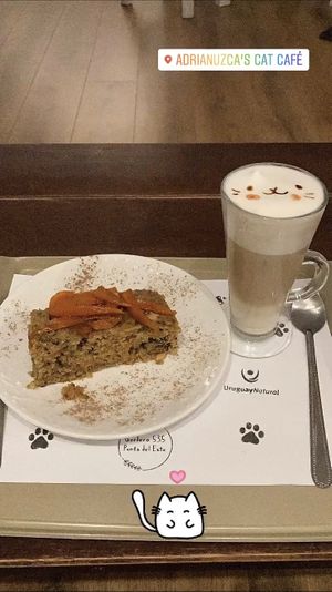 Carrot Cake and Catpuccino at Adrianuzca's Cat Café in Punta Del Este