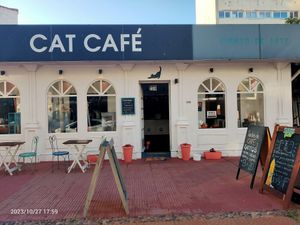 From the outside at Adrianuzca's Cat Café in Punta Del Este