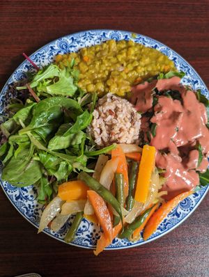 Wild brown rice, sauteed butternut squash with carrot, daikon, green bean, green split pea with onion and carrot, steamed collard, green kale with brown and shiitake mushroom beet  at Shangri-la Buddha in Albany